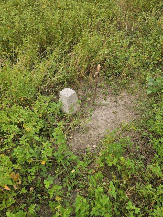 Borne de délimitation d'un lot dans la végétation